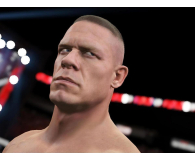 Gra PS4  WWE 2K15 - 1385966 - zdjęcie 3